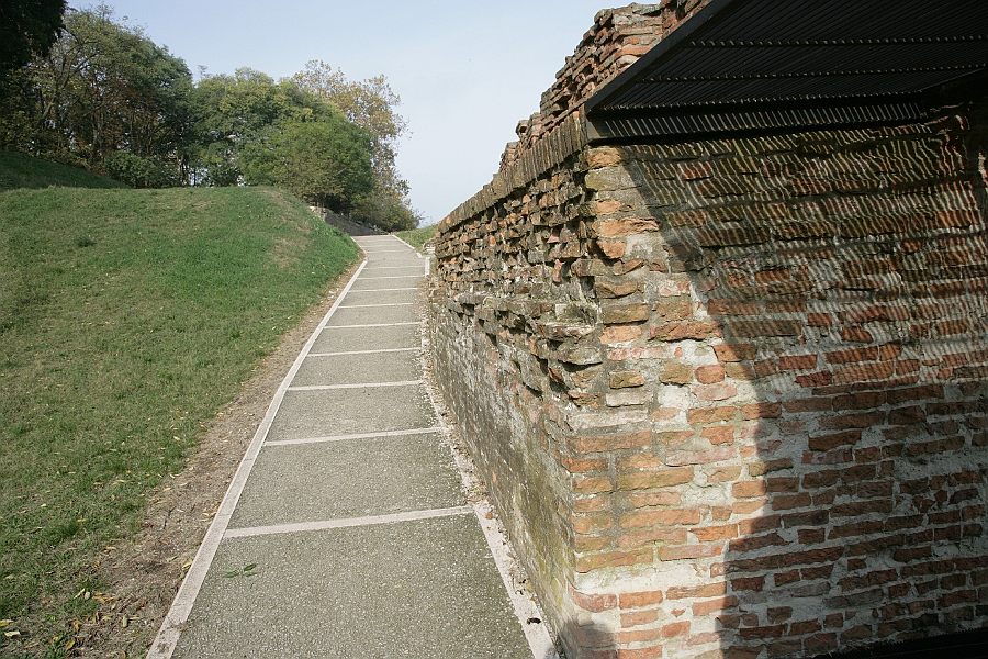 Img 118.jpg